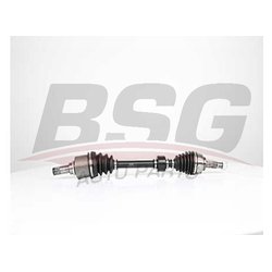 BSG BSG75350004