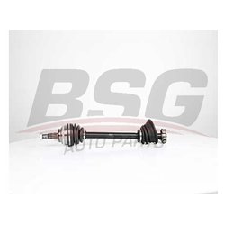 BSG BSG75350026