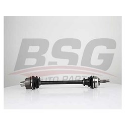 BSG BSG75350029