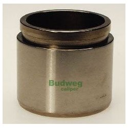 Budweg 235106