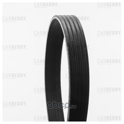 Carberry 5PK1063