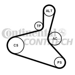 Contitech 6DPK1195K1