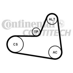 Contitech 6PK1045K2