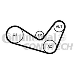 Contitech 6PK1050K1