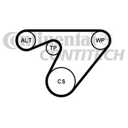 Contitech 6PK1180K3