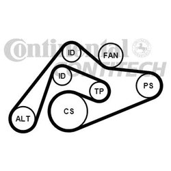 Contitech 6PK2404K1