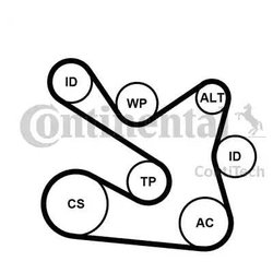 Contitech 7PK1605K1