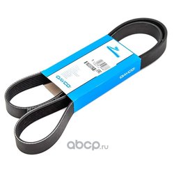 Dayco 6PK825