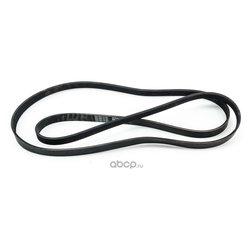 Dominant FO10013197
