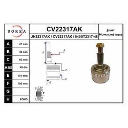 Eai CV22317AK