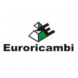 Euroricambi 88170455