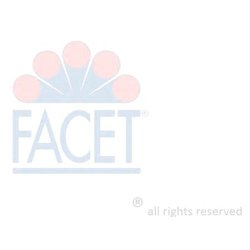 Facet 9.6485