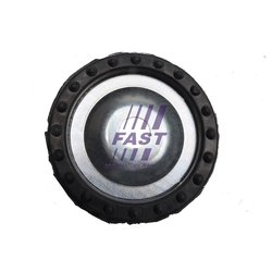 FAST FT12234