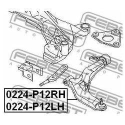 Febest 0224-P12RH