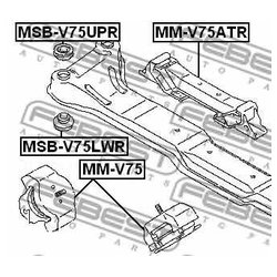 Febest MSB-V75LWR