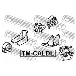 Febest TM-CALDL