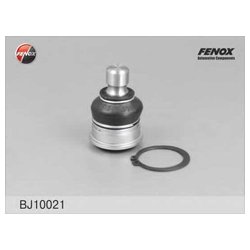Fenox BJ10021