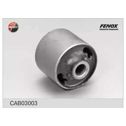 Fenox CAB03003