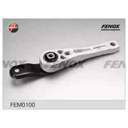Fenox FEM0100