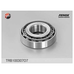 Fenox TRB100307O7
