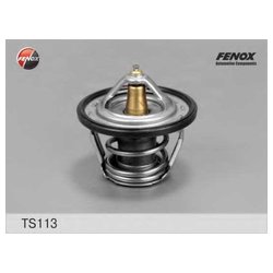 Fenox TS113