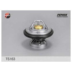Fenox TS163