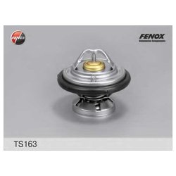 Фото Fenox TS163