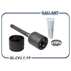 GALLANT GLCVJ119