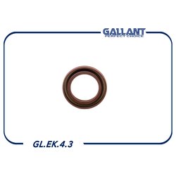 GALLANT GLEK43
