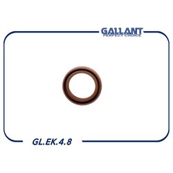 GALLANT GLEK48