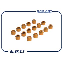 GALLANT GLEK55