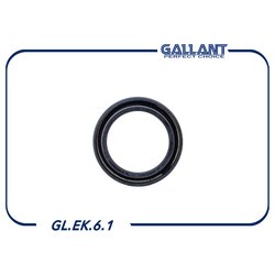 GALLANT GLEK61