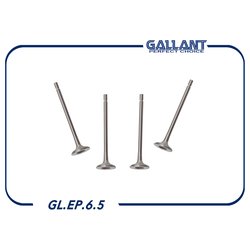 GALLANT GLEP65