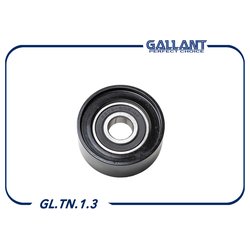 GALLANT GLTN13