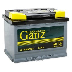 GANZ GANZ603R