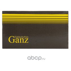 GANZ GIF08010