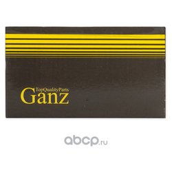 GANZ GIF08011