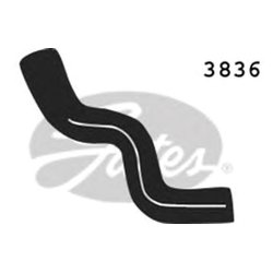 Gates 3836