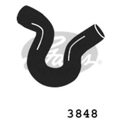 Gates 3848