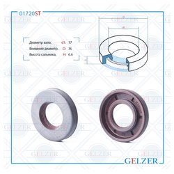 Gelzer 01720ST