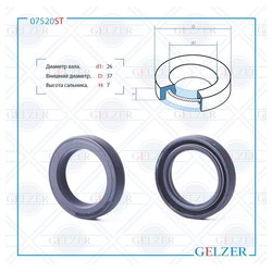 Gelzer 07520ST