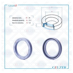 Gelzer 12520ST