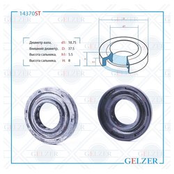 Фото Gelzer 14370ST