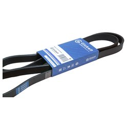 Globelt 6PK1055EPDM