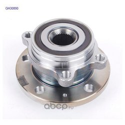Gmb GH30890