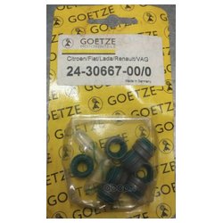 Goetze 24-30667-00/0