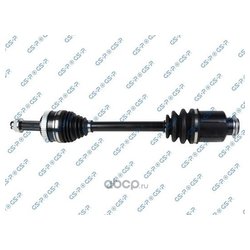 Gsp 224568