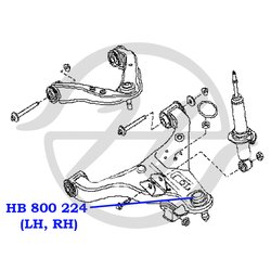 Hanse HB800224