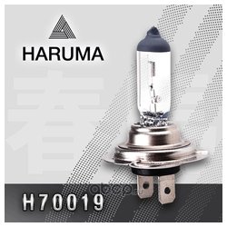 HARUMA H70019