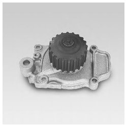 Hepu P041